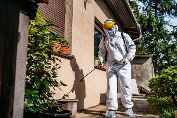 Insect Control in Lionville, PA