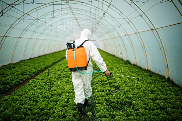 Best Local Pest Control Services  in Lionville, PA