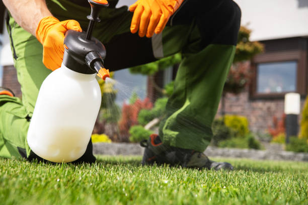 Best Wasp Removal Services  in Lionville, PA