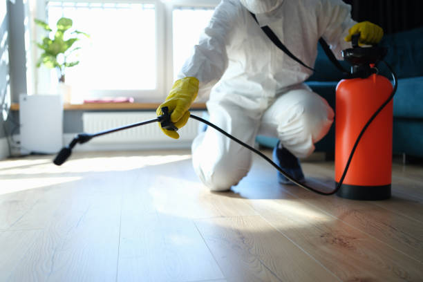 Flea Control Services in Lionville, PA