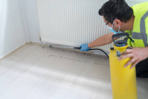 Best Cockroach Control Services  in Lionville, PA