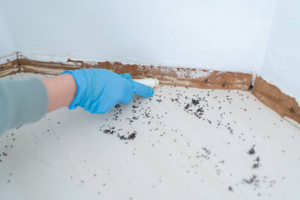 Best Mosquito Control Services  in Lionville, PA