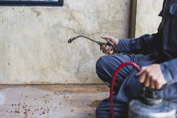 Wasp Removal Services in Lionville, PA